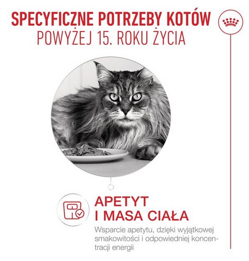 Royal Canin Ageing +15 karma sucha dla kotów dojrzałych 400g - obrazek 2