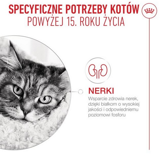 Royal Canin Ageing +15 karma sucha dla kotów dojrzałych 400g - obrazek 3