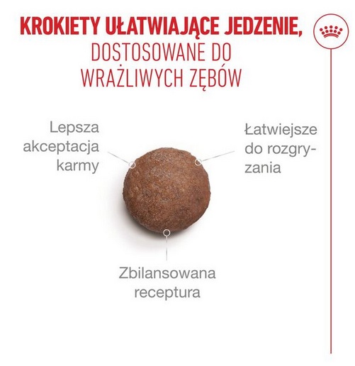 Royal Canin Ageing +15 karma sucha dla kotów dojrzałych 400g - obrazek 4