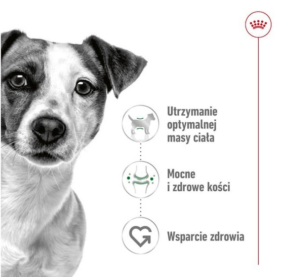Royal Canin Mini Adult karma sucha dla psów dorosłych, ras małych 0,8kg - obrazek 2
