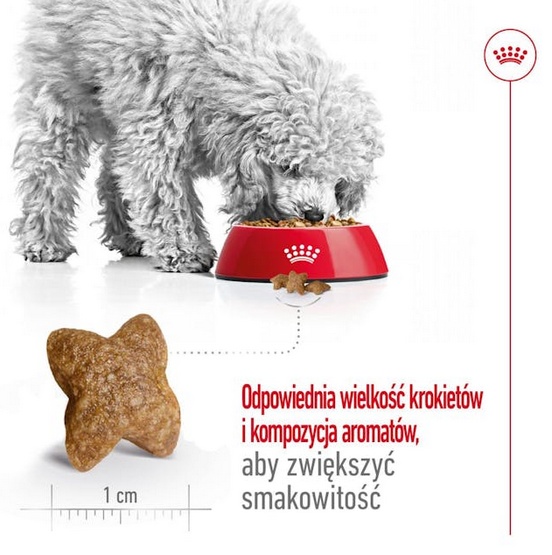 Royal Canin Mini Adult karma sucha dla psów dorosłych, ras małych 0,8kg - obrazek 4