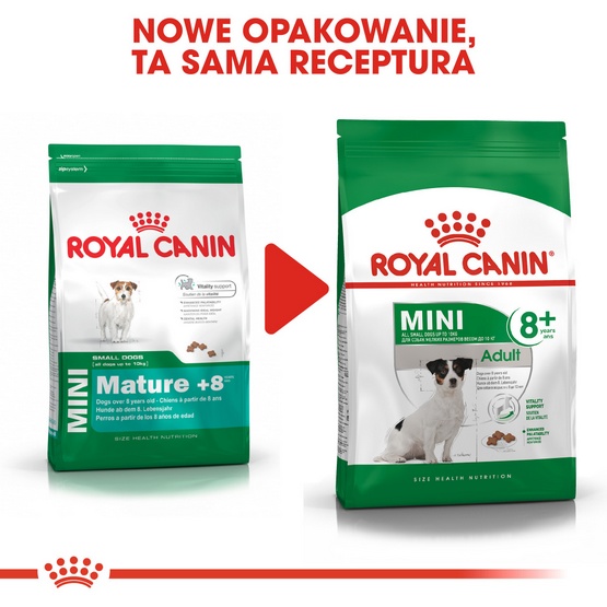 Royal Canin Mini Adult 8+ karma sucha dla psów starszych od 8 do 12 roku życia, ras małych 800g - obrazek 3