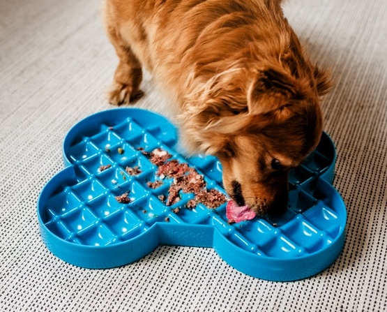 SloDog Slow Feeder Plate Miska spowalniająca duża kość turkusowa - obrazek 3