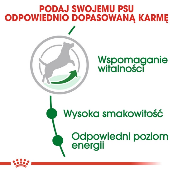 Royal Canin Mini Adult 8+ karma sucha dla psów starszych od 8 do 12 roku życia, ras małych 2kg - obrazek 5