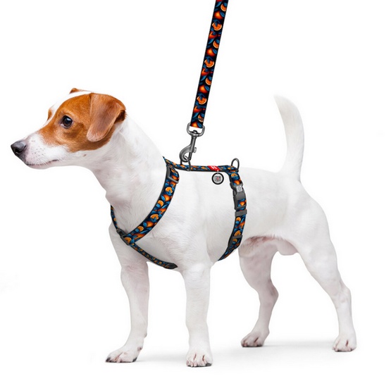 Collar WauDog Nylon Szelki nylonowe anatomiczne w kształcie litery H, z QR-paszportem, plastikowy fastex, wzór POMARAŃCZE, rozmiar S 15mm - obrazek 3