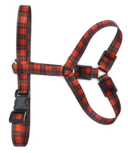 Matteo Szelki Guard 30mm szkocka krata - obrazek 3