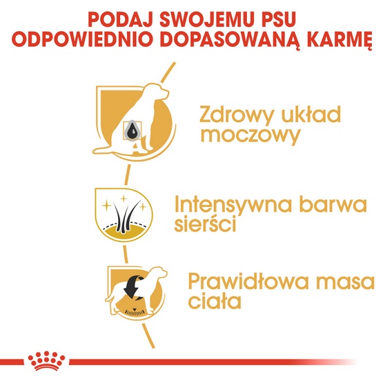 Royal Canin Miniature Schnauzer Adult karma sucha dla psów dorosłych rasy schnauzer miniaturowy 3kg - obrazek 5