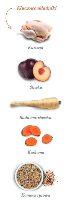 Amanova Dog Adult Mini Exquisite Chicken - kurczak 2kg - obrazek 4