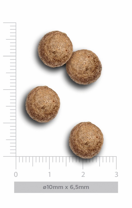 Amanova Dog Adult Mini Exquisite Chicken - kurczak 2kg - obrazek 5