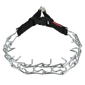 Champion Kolczatka [2T]