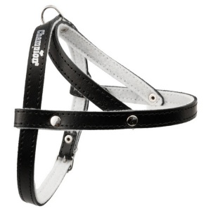 Champion Szelki 50 czarne [SD]