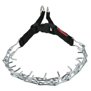 Champion Kolczatka [1T]