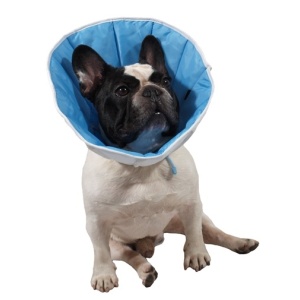 Grande Finale Kołnierz pozabiegowy z tkaniny rozmiar 1,5 niebieski [WET/KT/1,5(S/M)]