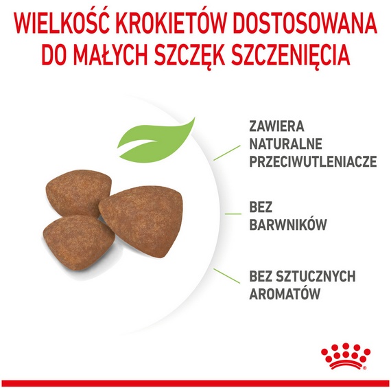 Royal Canin Mini Puppy karma sucha dla szczeniąt, od 2 do 10 miesiąca życia, ras małych 800g - obrazek 5