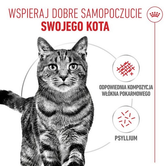 Royal Canin Hairball Care w sosie karma mokra w sosie dla kotów dorosłych, eliminacja kul włosowych saszetka 85g - obrazek 3