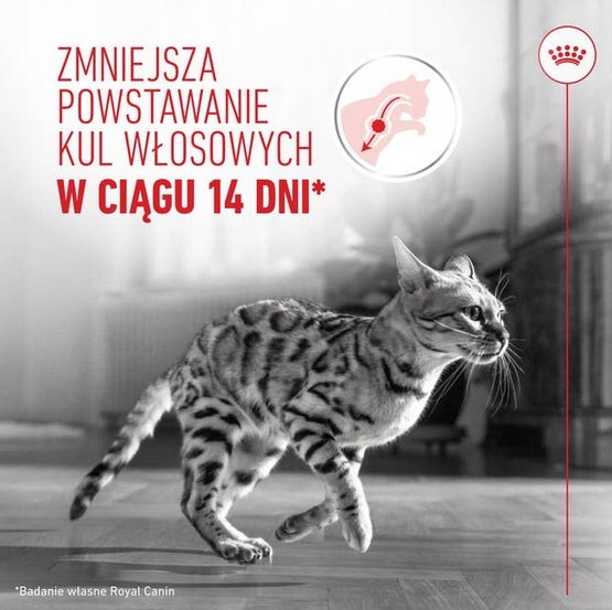 Royal Canin Hairball Care w sosie karma mokra w sosie dla kotów dorosłych, eliminacja kul włosowych saszetka 85g - obrazek 4