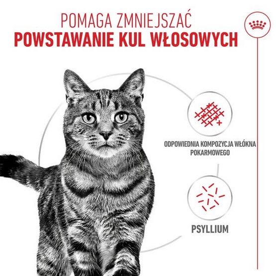 Royal Canin Hairball Care karma sucha dla kotów dorosłych, eliminacja kul włosowych 400g - obrazek 2