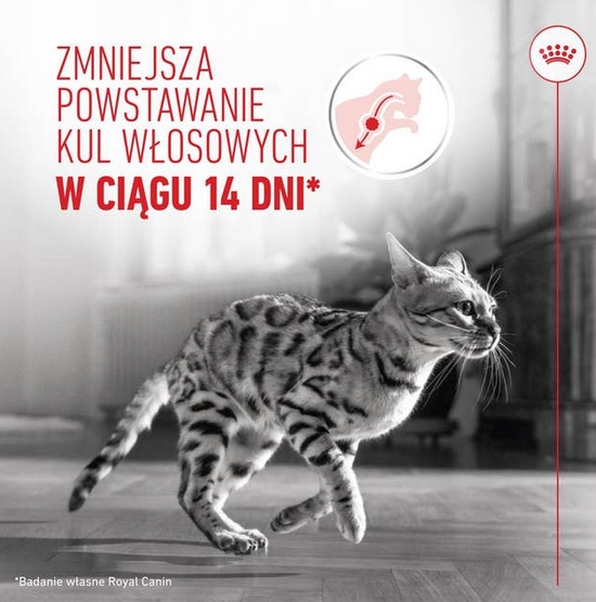 Royal Canin Hairball Care karma sucha dla kotów dorosłych, eliminacja kul włosowych 400g - obrazek 4