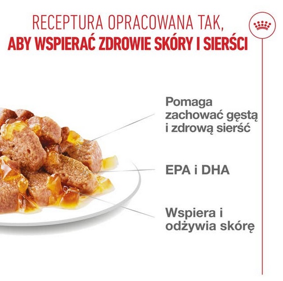 Royal Canin Hair & Skin Care karma mokra w galaretce dla kotów dorosłych, lśniąca sierść i zdrowa skóra saszetka 85g - obrazek 3