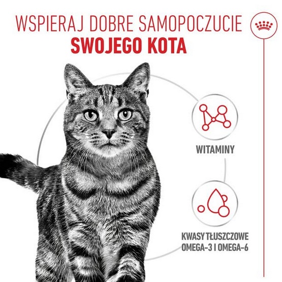 Royal Canin Hair & Skin Care karma mokra w galaretce dla kotów dorosłych, lśniąca sierść i zdrowa skóra saszetka 85g - obrazek 4