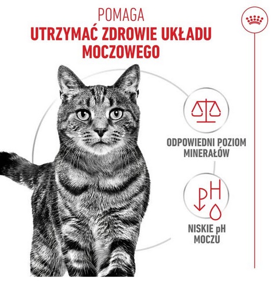 Royal Canin Urinary Care karma sucha dla kotów dorosłych, ochrona dolnych dróg moczowych 400g - obrazek 3