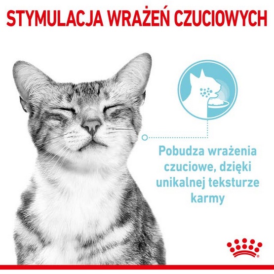 Royal Canin Sensory Feel w sosie karma mokra dla kotów dorosłych saszetka 85g - obrazek 2