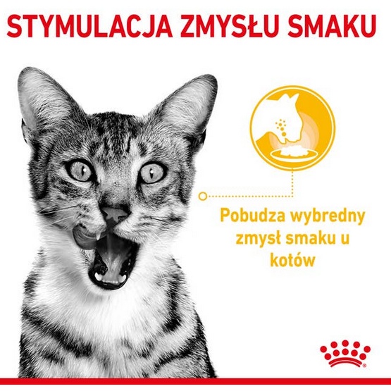 Royal Canin Sensory Taste w sosie karma mokra dla kotów dorosłych saszetka 85g - obrazek 2
