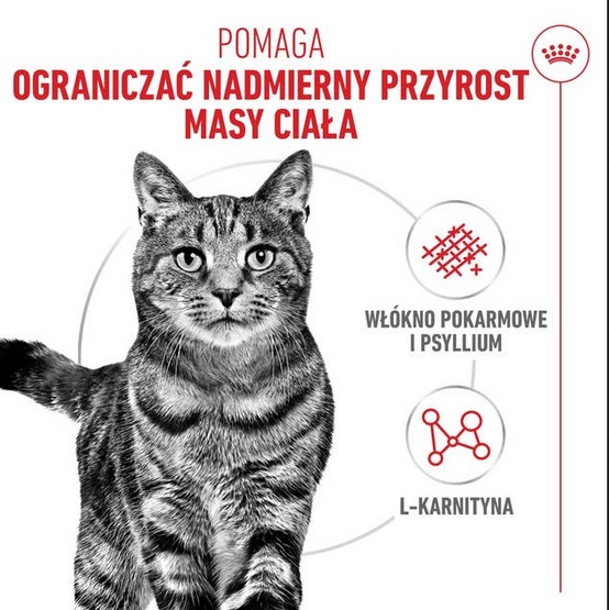 Royal Canin Light Weight Care karma sucha dla kotów dorosłych, utrzymanie prawidłowej masy ciała 3kg - obrazek 4