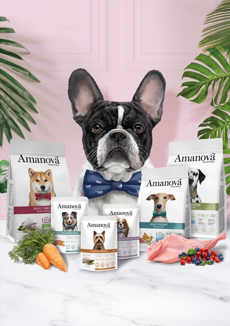 Amanova Dog Adult Medium Exquisite Chicken - kurczak 2kg - obrazek 6