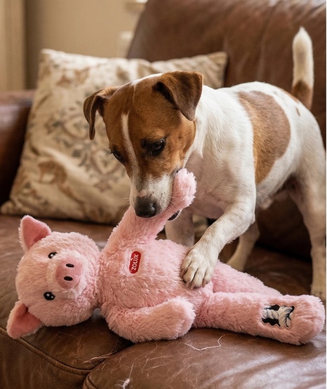 Zolux Zabawka pluszowa Furry Farm Świnka Jason 33cm - obrazek 3