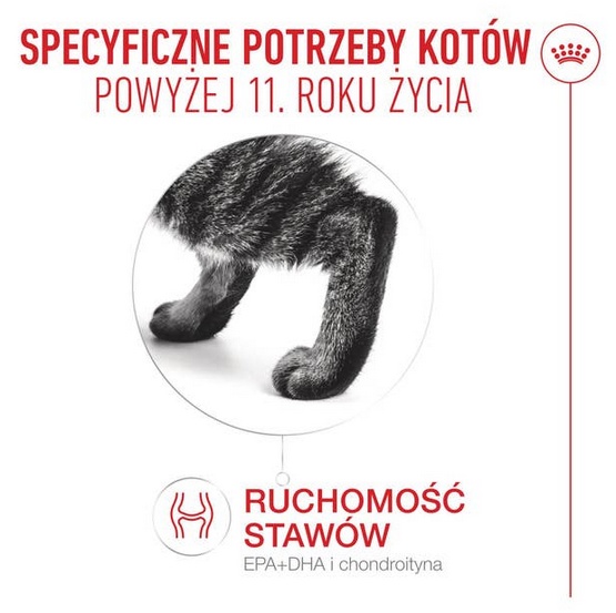 Royal Canin Ageing +11 karma mokra dla kotów dojrzałych w sosie saszetka 85g - obrazek 2