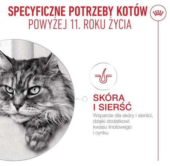 Royal Canin Ageing +11 karma mokra dla kotów dojrzałych w sosie saszetka 85g - obrazek 3