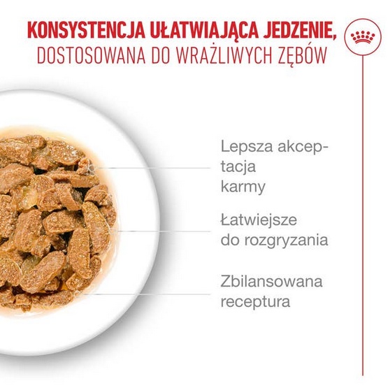 Royal Canin Ageing +11 karma mokra dla kotów dojrzałych w sosie saszetka 85g - obrazek 4