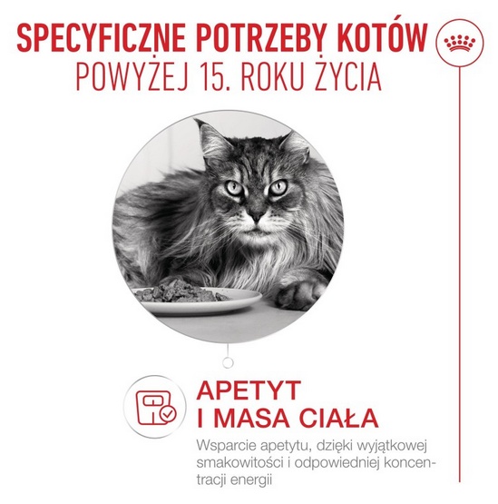 Royal Canin Ageing +15 karma mokra dla kotów dojrzałych w sosie saszetka 85g - obrazek 2