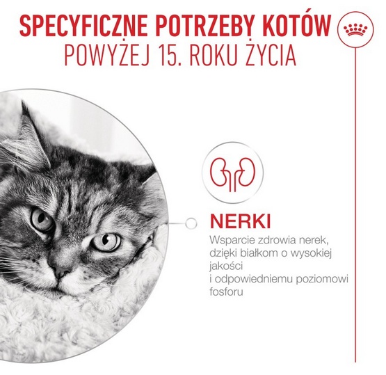 Royal Canin Ageing +15 karma mokra dla kotów dojrzałych w sosie saszetka 85g - obrazek 3