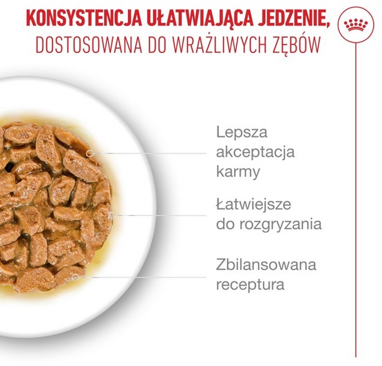 Royal Canin Ageing +15 karma mokra dla kotów dojrzałych w sosie saszetka 85g - obrazek 4