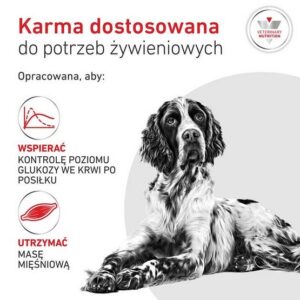 220620266a387f8cb207a.jpeg