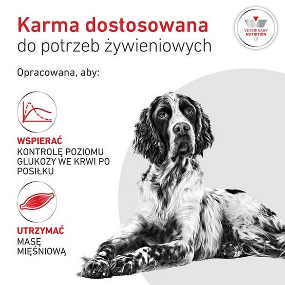 Royal Canin Veterinary Diet Canine Glycobalance Low Carbohydrate Loaf puszka 410g - obrazek 2