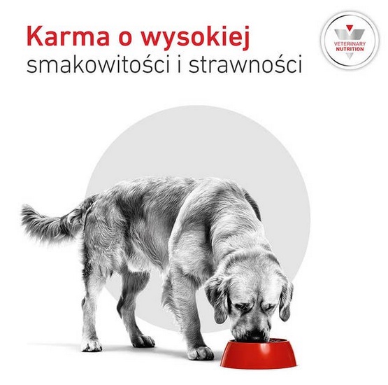 Royal Canin Veterinary Diet Canine Glycobalance Low Carbohydrate Loaf puszka 410g - obrazek 4