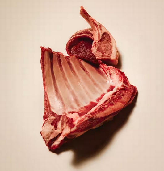 Carnilove Dog Active Lamb & Wild Boar Adult - jagnięcina i dzik 1,5kg - obrazek 4