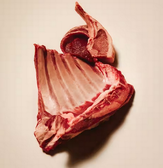 Carnilove Dog Lamb & Wild Boar Adult - jagnię i dzik puszka 400g - obrazek 3