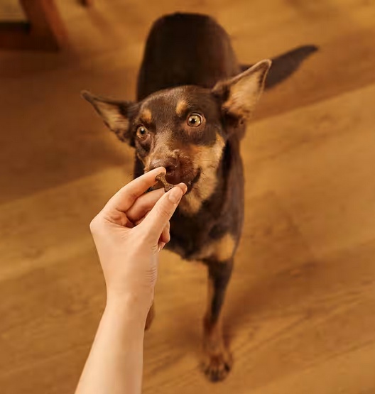Carnilove Dog Soft Snack Duck 200g - obrazek 5