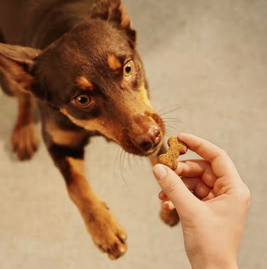 Carnilove Dog Crunchy Snack Ostrich 200g - obrazek 5