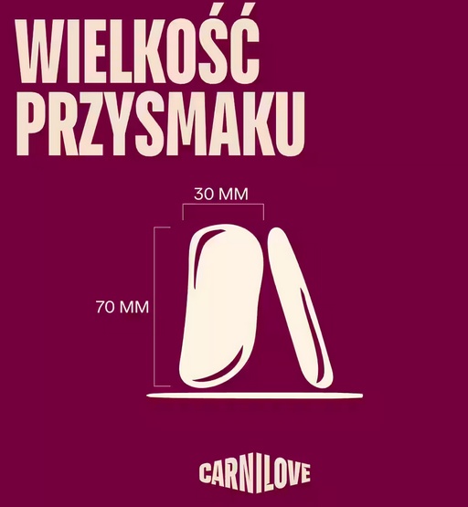 Carnilove Dog Jerky Lamb & Salmon - jagnięcina i łosoś 100g - obrazek 3