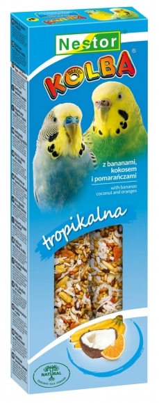 Nestor Kolba Papuga mała owoce tropikalne i kokos 2szt