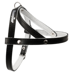 Champion Szelki 40 czarne [SD]