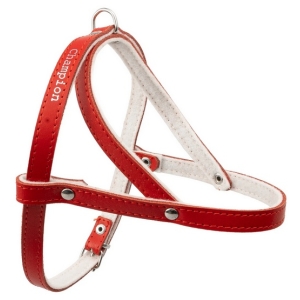 Champion Szelki 50 czerwone [SD(R)]