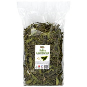 Alegia Babka lancetowata 300g